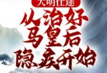 大明仕途：从治好马皇后隐疾开始精彩章节阅读(李青朱元璋)免费阅读大结局-冰糖文学