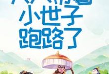 首辅大人不好了！夫人带着小世子跑路了大结局，程颂安崔元卿小说无广告阅读-冰糖文学