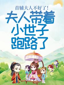 首辅大人不好了！夫人带着小世子跑路了大结局，程颂安崔元卿小说无广告阅读