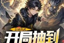 许天最新章节全球高武，开局抽到荒古圣体免费阅读-冰糖文学