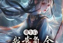 跪求主角是沈云的小说书名叫什么-冰糖文学