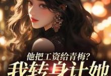 主角是禾念安江予川的小说他把工资给青梅？我转身让她写欠条在哪免费看-冰糖文学