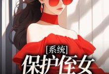 系统：保护侄女就能得奖金精彩章节在线免费阅读（白书宁安泽珩）-冰糖文学