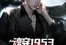 主人公是藤原秀泽的小说魂穿1953：我在岛国当渔民免费阅读-冰糖文学