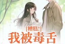 小说糟糕！我被毒舌霸总缠上了主角迟笙沈京洲免费阅读-冰糖文学