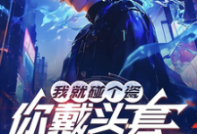 主人公是陆泽赵勇的小说我就碰个瓷，你戴头套什么意思？免费阅读-冰糖文学