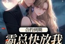 小说合约到期,霸总快放我追新欢主角沈初音霍庭坤免费阅读-冰糖文学