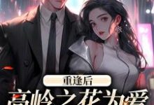 重逢后，高岭之花为爱变身追妻狂魔（主角付闻洲程又青）完结版免费阅读-冰糖文学