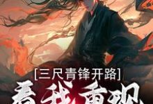 小说三尺青锋开路,看我重现家族荣耀主角叶凌天武明月免费阅读-冰糖文学