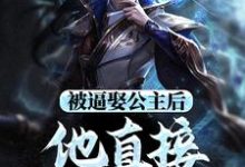 被逼娶公主后,他直接坐了皇位(王修苏晚晴)最新章节免费在线阅读-冰糖文学
