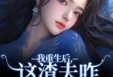 主角是林菀宁的小说我重生后,这渣夫咋还换人格了在哪免费看-冰糖文学