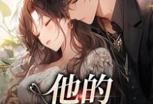 跪求主角是司向淮乌椿的小说书名叫什么-冰糖文学