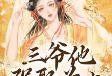 求助这本三爷他强娶为上小说在哪里可以看完结版-冰糖文学