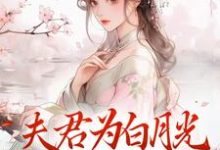 宋絮晚季墨阳小说免费阅读最新章节列表，夫君为白月光守身如玉？我成全！小说在线看-冰糖文学