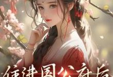 主角是沈青梨魏缜的小说住进国公府后，我成了香饽饽！在哪免费看-冰糖文学
