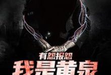 云渺小说免费阅读最新章节列表，有怨报怨，我是黄泉摆渡人小说在线看-冰糖文学