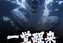 小说一觉醒来,我修为全失主角叶尘渊江月寒免费阅读-冰糖文学