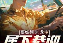 赘婿翻身：龙主，属下恭迎您归位（叶尘林含雪）完结版免费阅读-冰糖文学