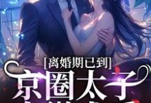 离婚期已到!京圈太子卑微求爱(沈青瓷席星野)最新章节免费阅读-冰糖文学