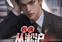 抗战:从淞沪保卫战开始小说最新章节在哪里可以免费看-冰糖文学
