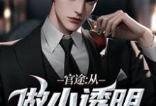 官途:从做小透明开始最新章节官途:从做小透明开始在线阅读-冰糖文学