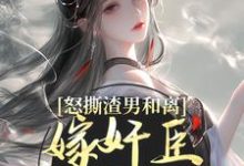 沈蕴之宋窈窈在线阅读，怒撕渣男和离，嫁奸臣高攀不起小说完结版章节-冰糖文学