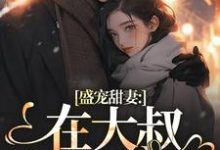 盛宠甜妻：在大叔怀里沦陷完结版安姩盛怀安免费阅读大结局-冰糖文学