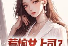 惹恼女上司?我有妙计摆平免费阅读,张文定大结局无弹窗-冰糖文学