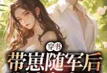 穿书:带崽随军后我被宠上天无弹窗沈淮初陆云琛最新章节列表-冰糖文学