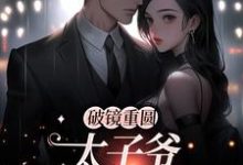 破镜重圆:太子爷他太霸道小说资源求分享,破镜重圆:太子爷他太霸道黎念靳宴深在线阅读-冰糖文学