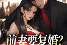 赵青峰白晓星小说前妻复婚让她跪着滚精彩章节阅读(赵青峰白晓星)免费阅读大结局-冰糖文学