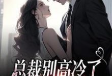 总裁别高冷了,夫人离家出走了(林乔谢之南)最新章节在线阅读-冰糖文学