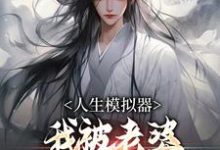 人生模拟器：我被老婆逼成世间极境精彩章节阅读(白棋陈北玄)免费阅读大结局-冰糖文学