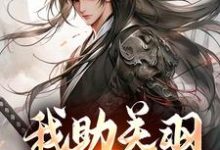 跪求主角是关羽关兴的小说书名叫什么-冰糖文学