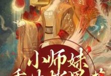 小师妹重生撕黑莲,炸翻宗门完结版凤锦许墨免费阅读大结局-冰糖文学