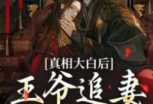 主人公是萧锦笙鸿枫的小说真相大白后,王爷追妻火葬场了免费阅读-冰糖文学