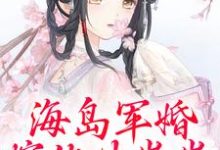 主角是沈竹霍锦之的小说海岛军婚：嫁他生崽崽在哪免费看-冰糖文学