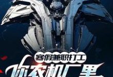 寒假兼职打工，你农机厂里开出空天航母？（季成）完结版免费阅读-冰糖文学