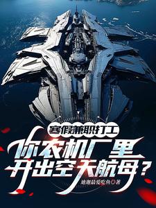寒假兼职打工，你农机厂里开出空天航母？（季成）完结版免费阅读