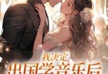 我决定出国学音乐后，大律师后悔了免费阅读，宋棉贺淮川大结局无弹窗-冰糖文学