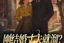 主人公是丁遥香陆舰的小说刚结婚丈夫就溜?姐真不吃人!免费阅读-冰糖文学