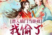 潜入仙门当卧底，我偷了谪仙的心精彩章节在线免费阅读（宋时卿谢寂玉）-冰糖文学