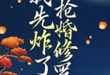 穿越后,我先炸了抢婚修罗场大结局,叶楚月轩辕宸小说无广告阅读-冰糖文学