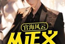 官海风云：从正义开始（何强）最新章节免费阅读-冰糖文学