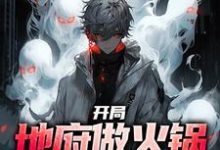 开局地府做火锅，馋哭鬼怪！（林烨）完结版免费阅读-冰糖文学