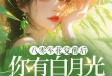 八零军花觉醒后,你有白月光我改嫁(宋佳茵杜知知)最新章节免费阅读-冰糖文学