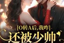 小说O转A后,我咋还被少帅强取豪夺了主角池影霍时晏免费阅读-冰糖文学