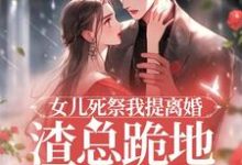 主角是顾星瑶霍长临的小说女儿死祭我提离婚,渣总跪地求别分在哪免费看-冰糖文学