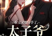 乖宝又要分手了,太子爷求贴贴(江颜厉霆骁)最新章节免费在线阅读-冰糖文学