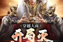 穿越大商,开局灭十万叛军精彩章节阅读(殷寿姬发)免费阅读大结局-冰糖文学